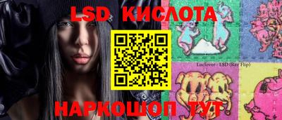 СК Ставрополь