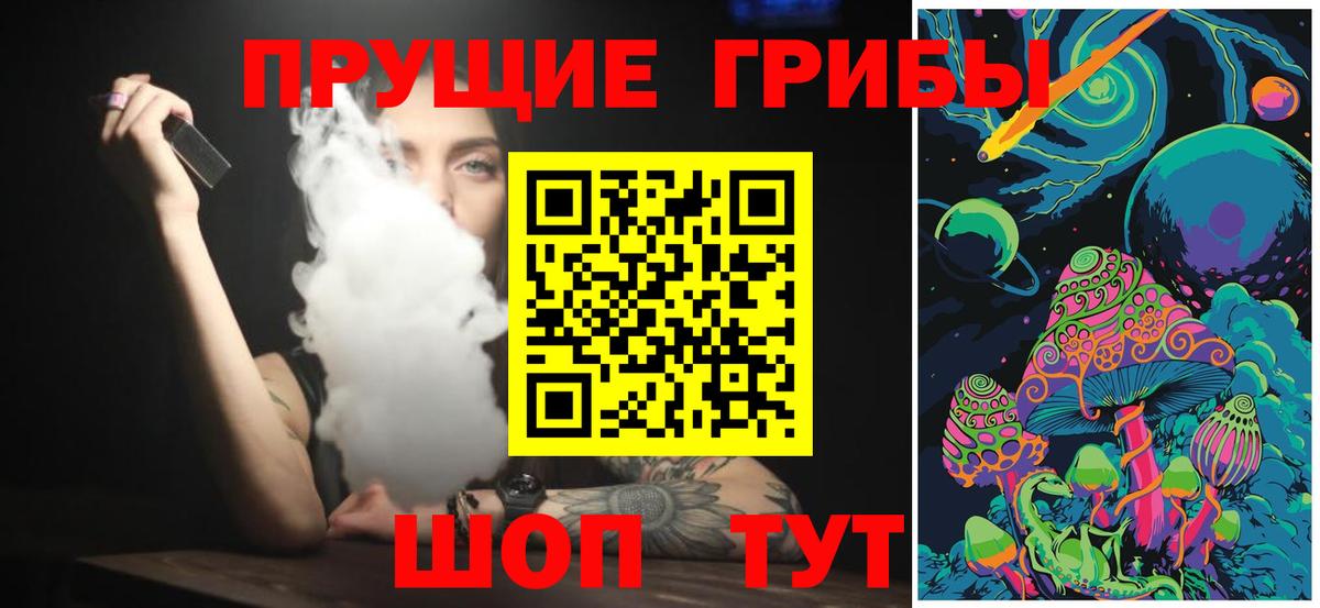 Галлюциногенные грибы Psilocybe Пыть-Ях
